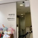 네파키즈신세계의정부