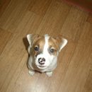 기다리다 이미지