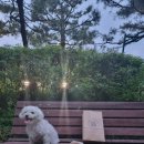 파리바게뜨(양천구청점)