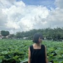 퍼피베이크 이미지