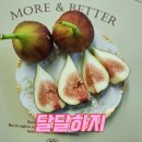 무화가 | 무화과 먹는법 무화과 샌드위치 만들기 무화가 택배 후기