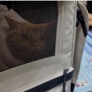 다루동물병원 이미지