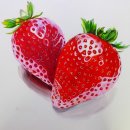 광영여자고등학교 이미지