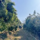 죽도(선착장) 공중화장실 | 국내 섬여행 추천 홍성 죽도 배편 천수만 섬트레킹