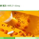 미사늘편한내과의원 | 하남미사역내과,임신 빈혈 철분 보충, 하루 27~30mg이 기본 권고입니다