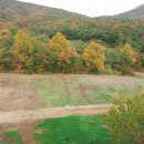 보령시립노인전문병원 이미지