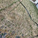 홍산농장 이미지