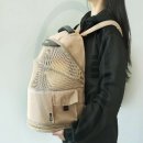 바둑이 애견 이미지