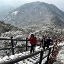 설산 Daum카페