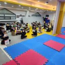 푸른태권도장 | [푸른나무 태권도장] 평일 저녁에 열린 색다른 야시장 &amp; 피구 시합 체험기