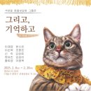 더칼라 이미지