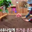힐링 토마토 사우나 이미지