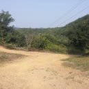 아리랑양념꼼장어 이미지