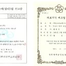 부산세기보청기 이미지