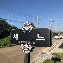 꼬댕이펜션 | 대부도 단체펜션 수영장까지 만족스러운 대부도펜션시티 이용솔직후기