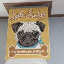 부산애견 이미지