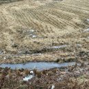 진위현길 이미지