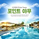 포인트팜 이미지