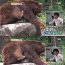 서열농장 이미지