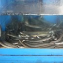 백마강숯불민물장어 이미지