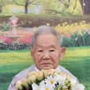 울진봄날애햇살 이미지