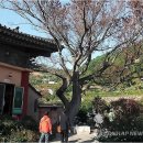 전북산림환경연구소(산림청) 이미지