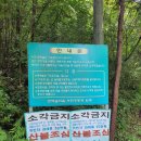 관촌공영주차장 | 완주 편백나무숲 (상관 공기마을) 전주 근교드라이브 코스로 제격! : 주차, 상관편백숲쉼터