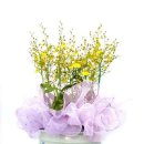 배우물농장 이미지