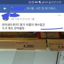 사이곤 반미