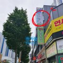 한가람 행정사 사무소 이미지