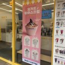 부산 빽다방 광안역점 요거트 아이스크림 후기(내돈내산)