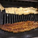 풍천장어 이미지