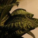 북면한의원 이미지