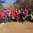 배꼽친구 이미지