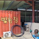 큰빛농장 Daum카페