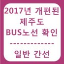 제주도 일반간선 버스노선 확인
