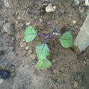 지훈농장 이미지