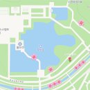 분당중앙공원 | 분당 중앙공원 야간 벚꽃 데이트 :) 실시간 개화정도, 주차꿀팁, 포토존