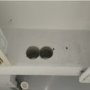 코아 플로어 이미지