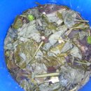 농장 천지인 이미지