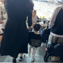 한화생명 | 대전 한화생명이글스파크 직관 후기 ‘엘지트윈스 통합우승’