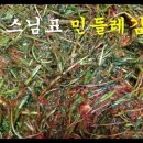 운수리111-4 이미지