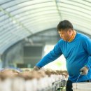 삼정농장2 이미지