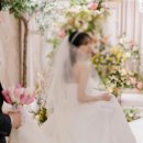 사랑스러운 색감의 디아필름 본식스냅 밝은홀 추천후기 (더베뉴지 네이처홀)