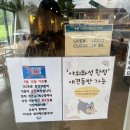 몽트리에 | [광명 소금빵 맛집] 소올투베이커리 후기 &amp; 광명동굴 입장권 50% 할인 꿀팁까지!