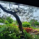 음악평론가와 읽는 클래식 이미지