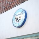 마리오펫 이미지