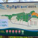 연천 임진강 댑싸리공원(24.09.28촬영) 댑싸리 축제 방문 후기 주차 및 입장료