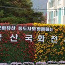 11월 문화예술아카데미 이미지