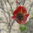 봄이네농장 이미지